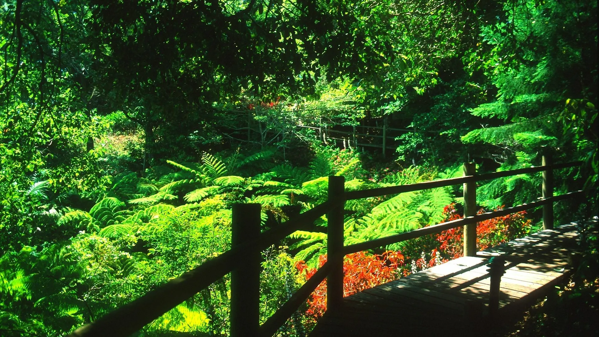 Lodge The Falls Montville