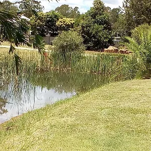 Units And Wondai